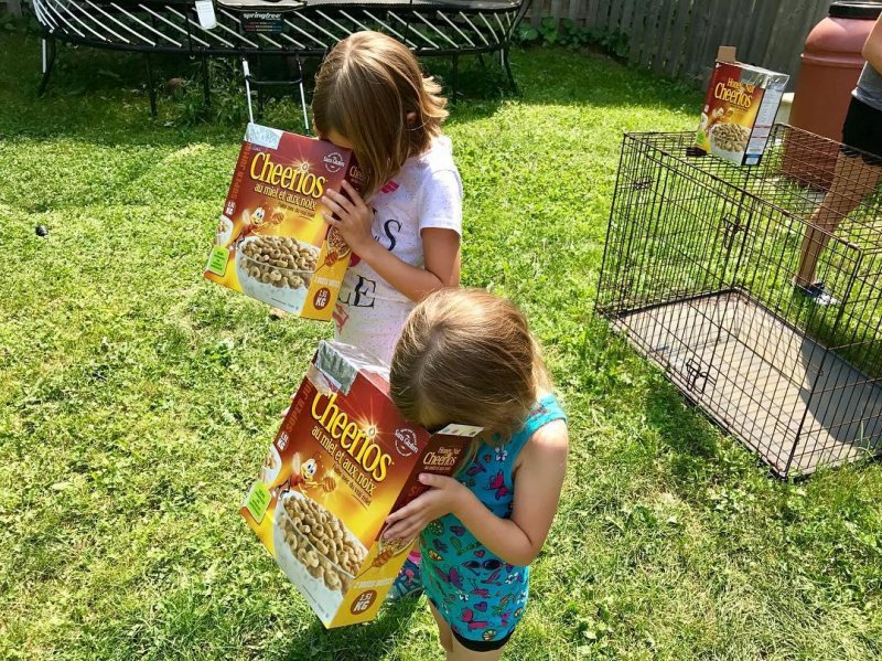 /2017/i-see-you/image0