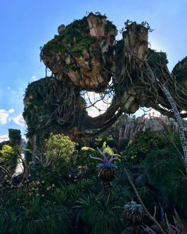 /2019/pandora-world-at-animal-kingdom-was-really-impressive/image0