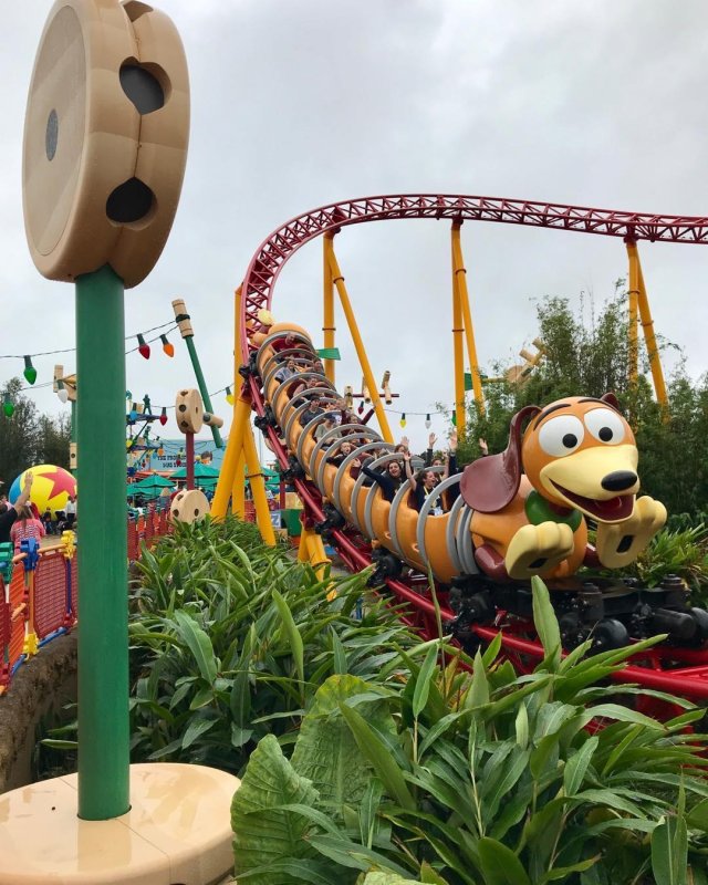 /2019/slinky-dog-dash-was-great-zoey-was-scared-but-she/image0