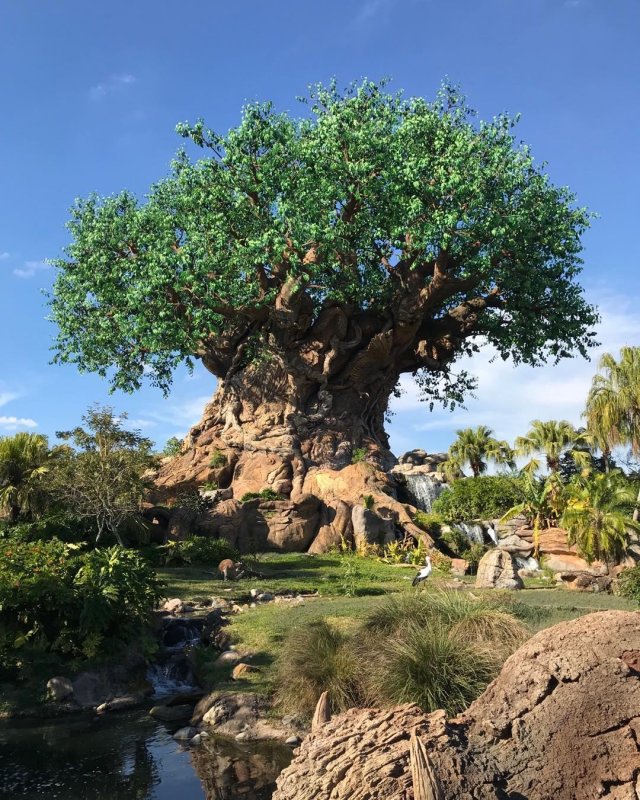 /2019/untitled-10/image0