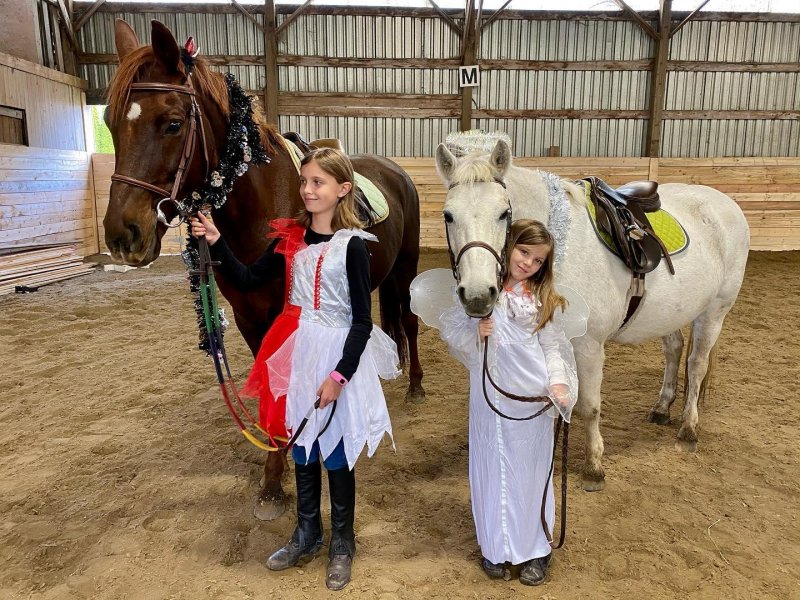/2020/dress-up-at-riding-lessons-today/image0