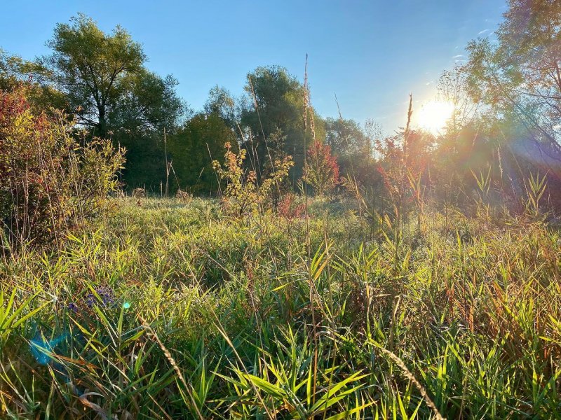 /2020/sunny-morningshotoniphone-sunny-clearsky-clearday/image0