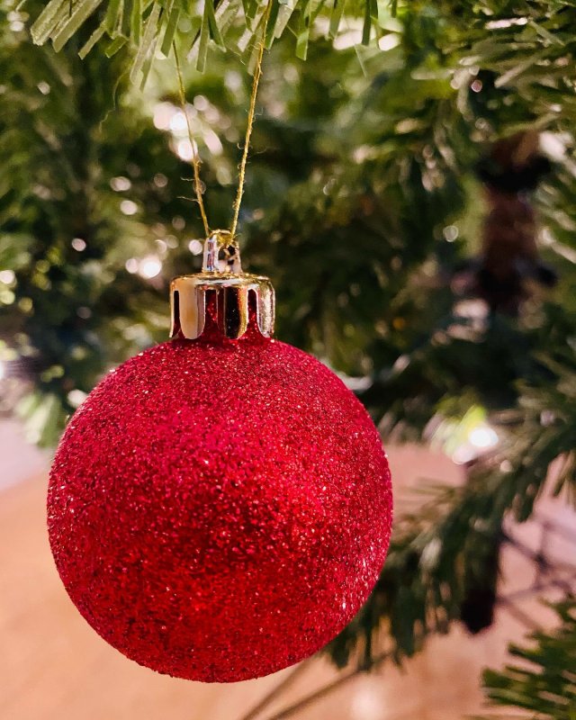 /2020/trees-up/image0