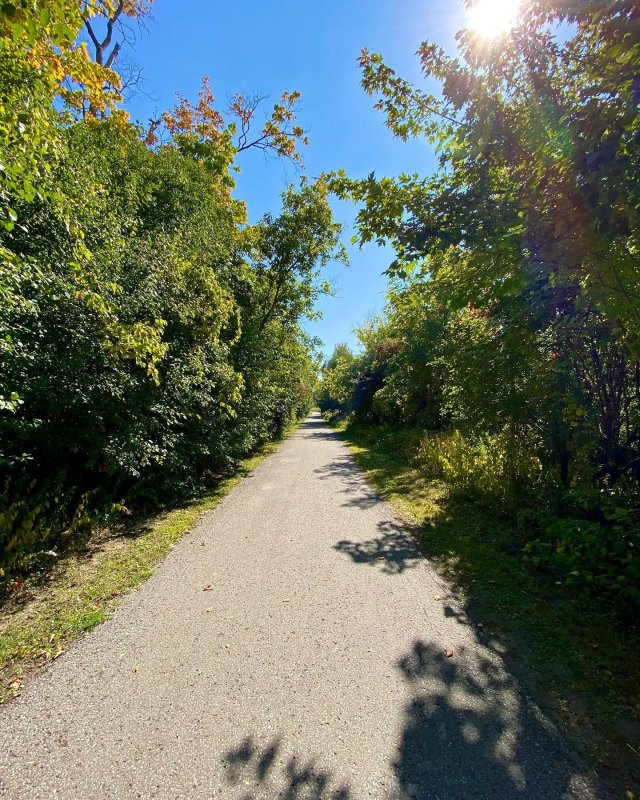 /2020/untitled-18/image0