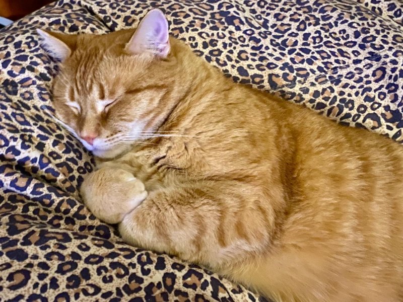 /2020/untitled-20/image0